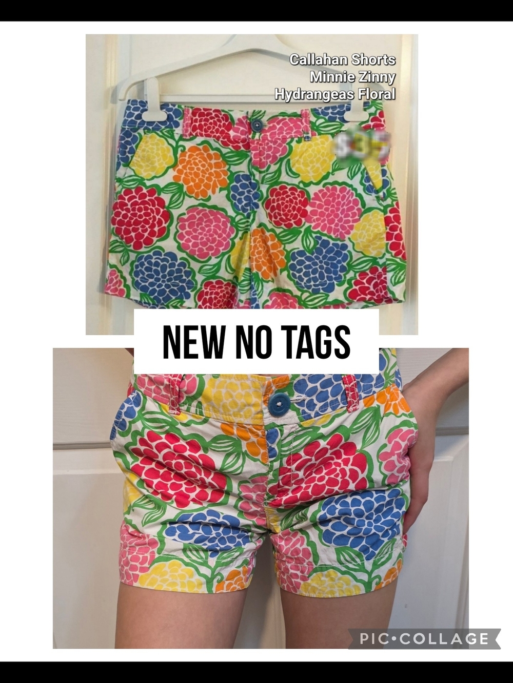 Callahan Floral Hydrangea Print Shorts — Multicolor